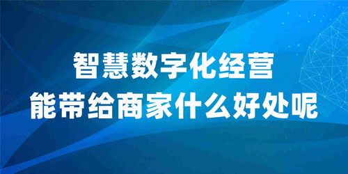 绵阳支付宝数字化经营我们很专业